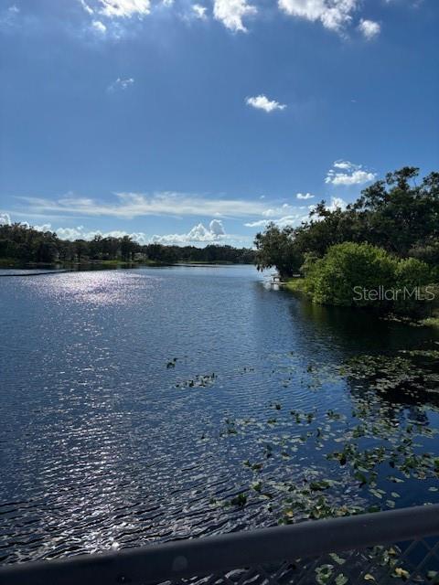 3812 E LAKESHORE DR, TAMPA, FL, 33604