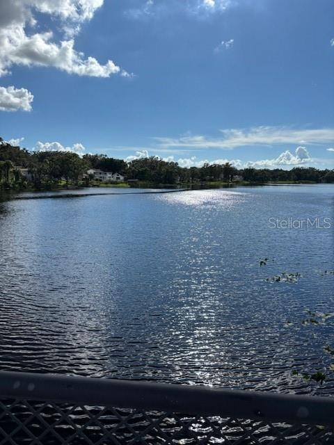 3812 E LAKESHORE DR, TAMPA, FL, 33604