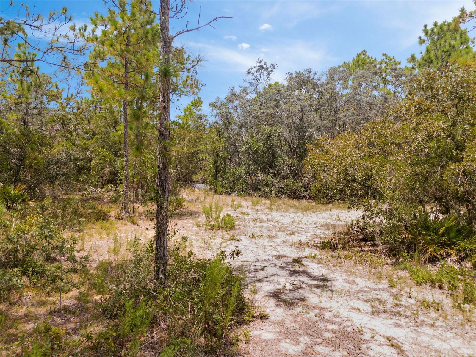 6561 S SHORT PT, HOMOSASSA, FL, 34446