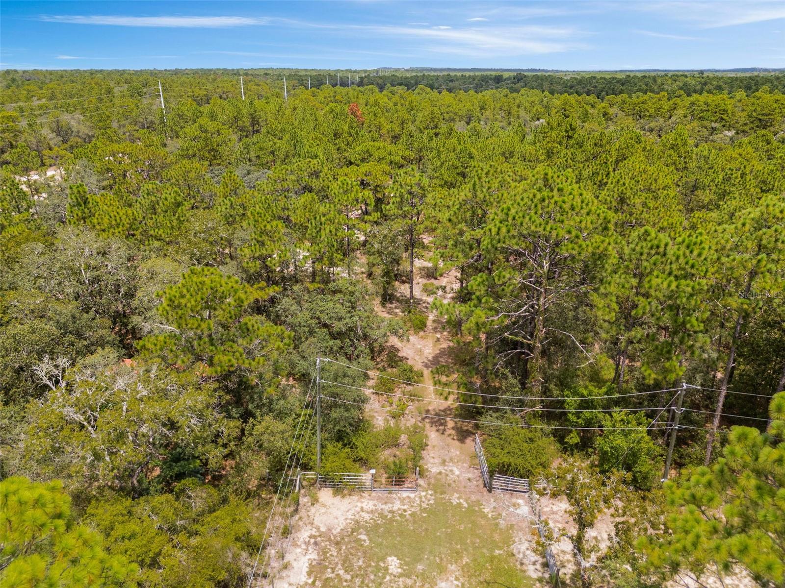 6561 S SHORT PT, HOMOSASSA, FL, 34446