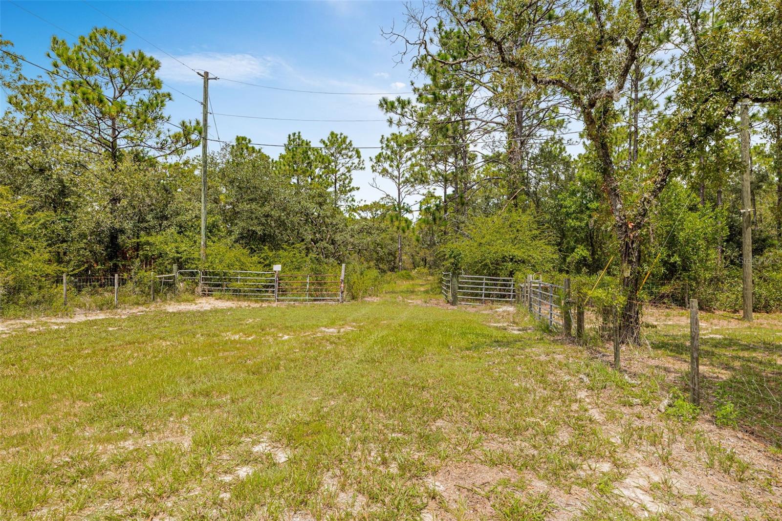 6561 S SHORT PT, HOMOSASSA, FL, 34446