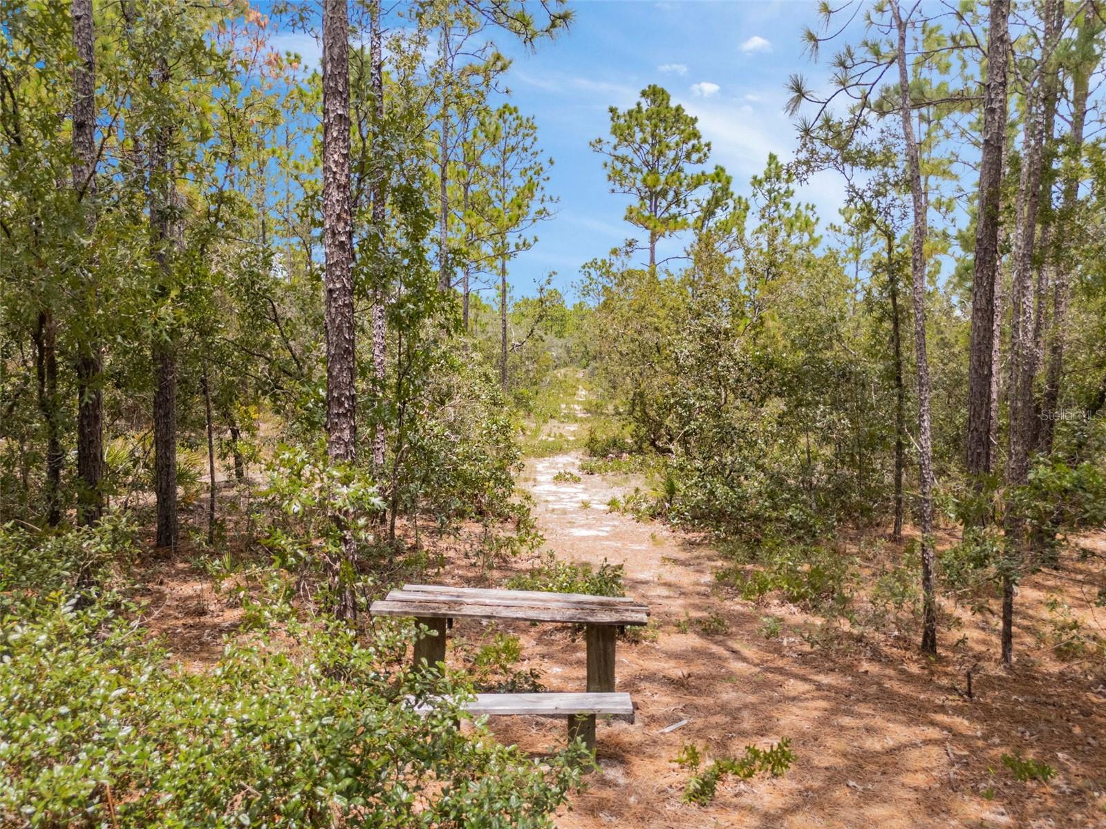 6561 S SHORT PT, HOMOSASSA, FL, 34446