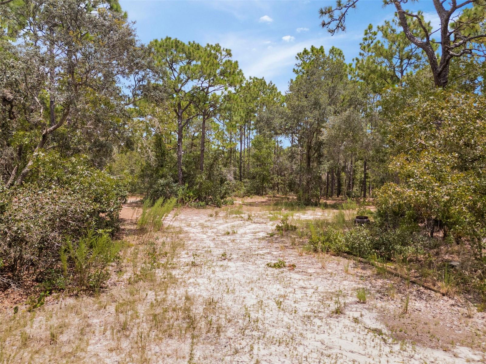 6561 S SHORT PT, HOMOSASSA, FL, 34446