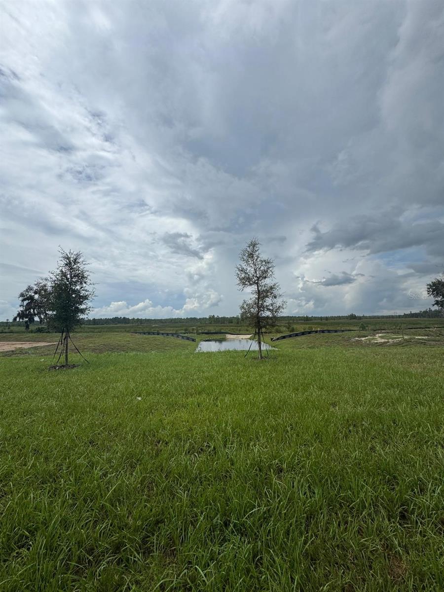 4401 RIVER BEACON BLVD, DAVENPORT, FL, 33837