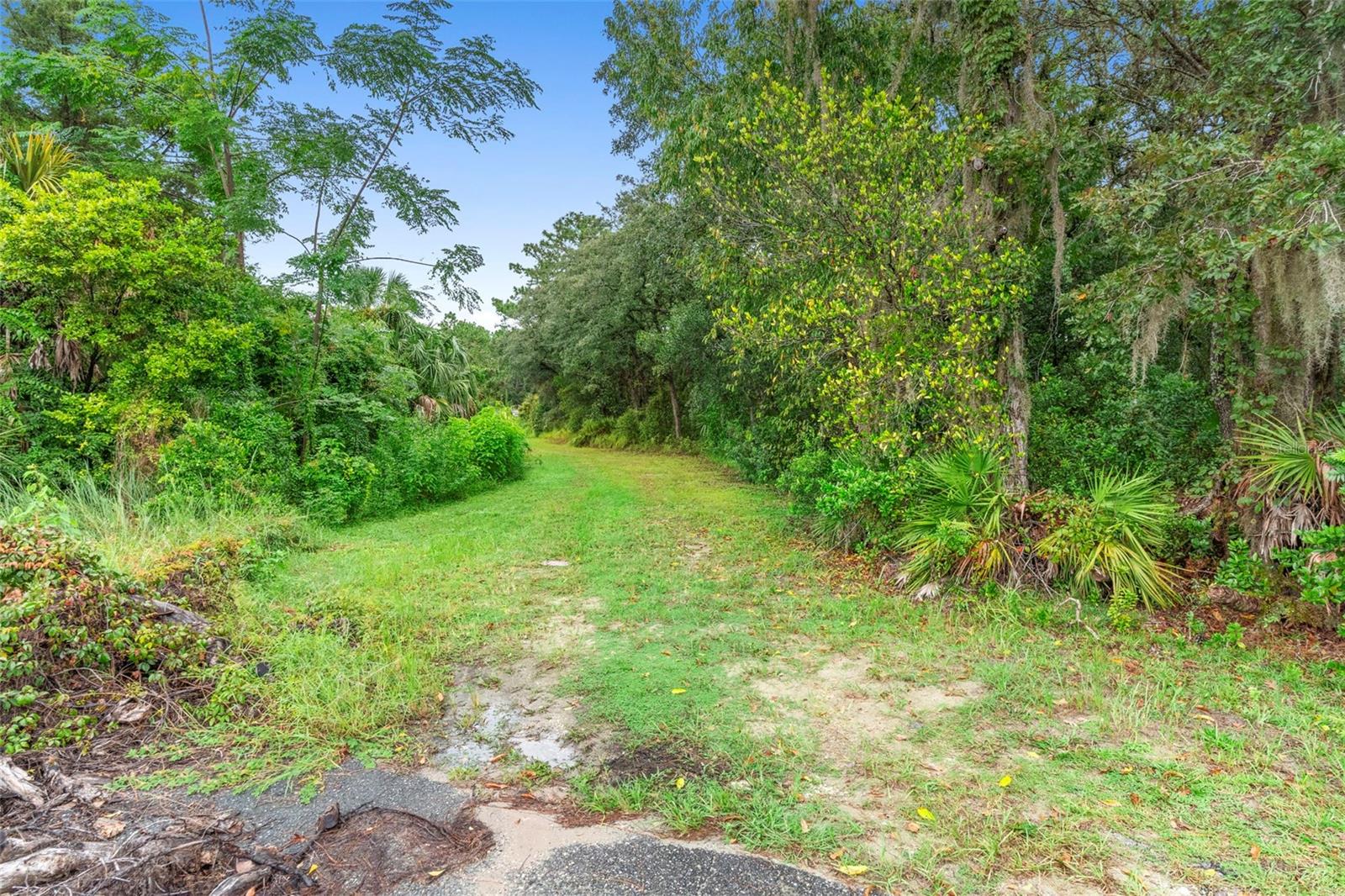 6011 W HOMOSASSA TRL, HOMOSASSA, FL, 34448