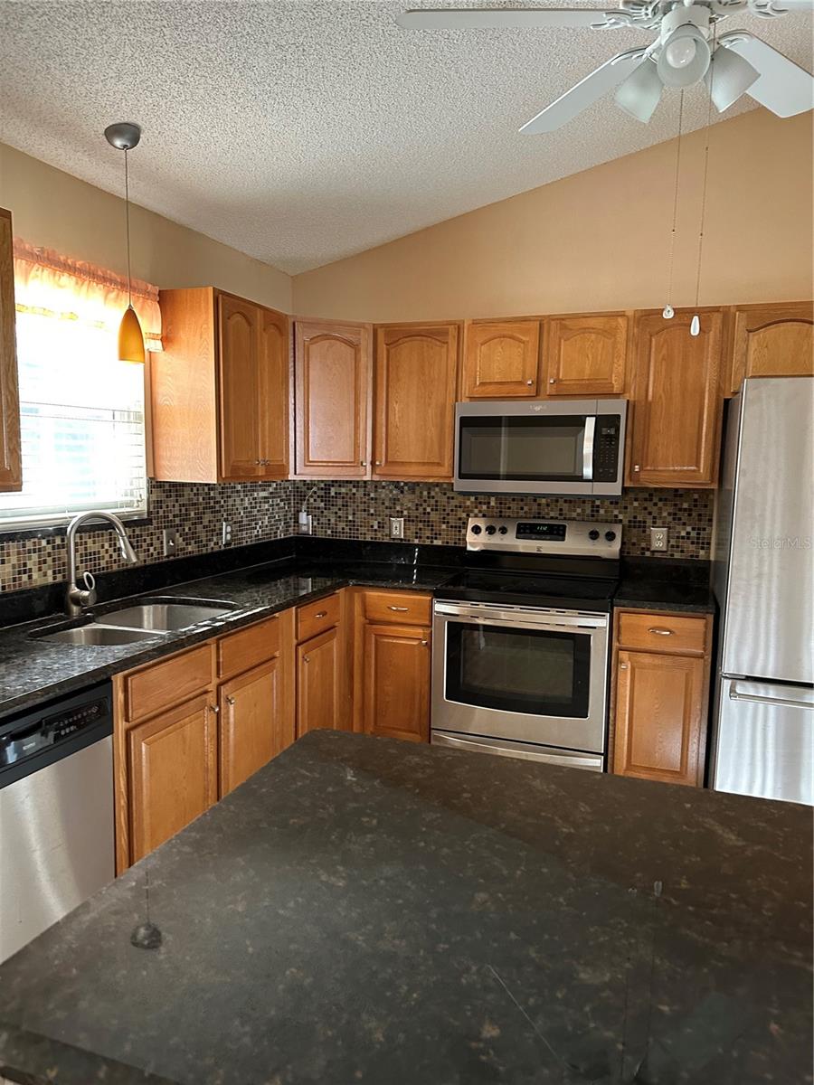 917 CAMINO DEL REY DR, LADY LAKE, FL, 32159