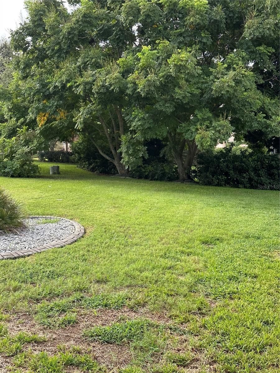 917 CAMINO DEL REY DR, LADY LAKE, FL, 32159