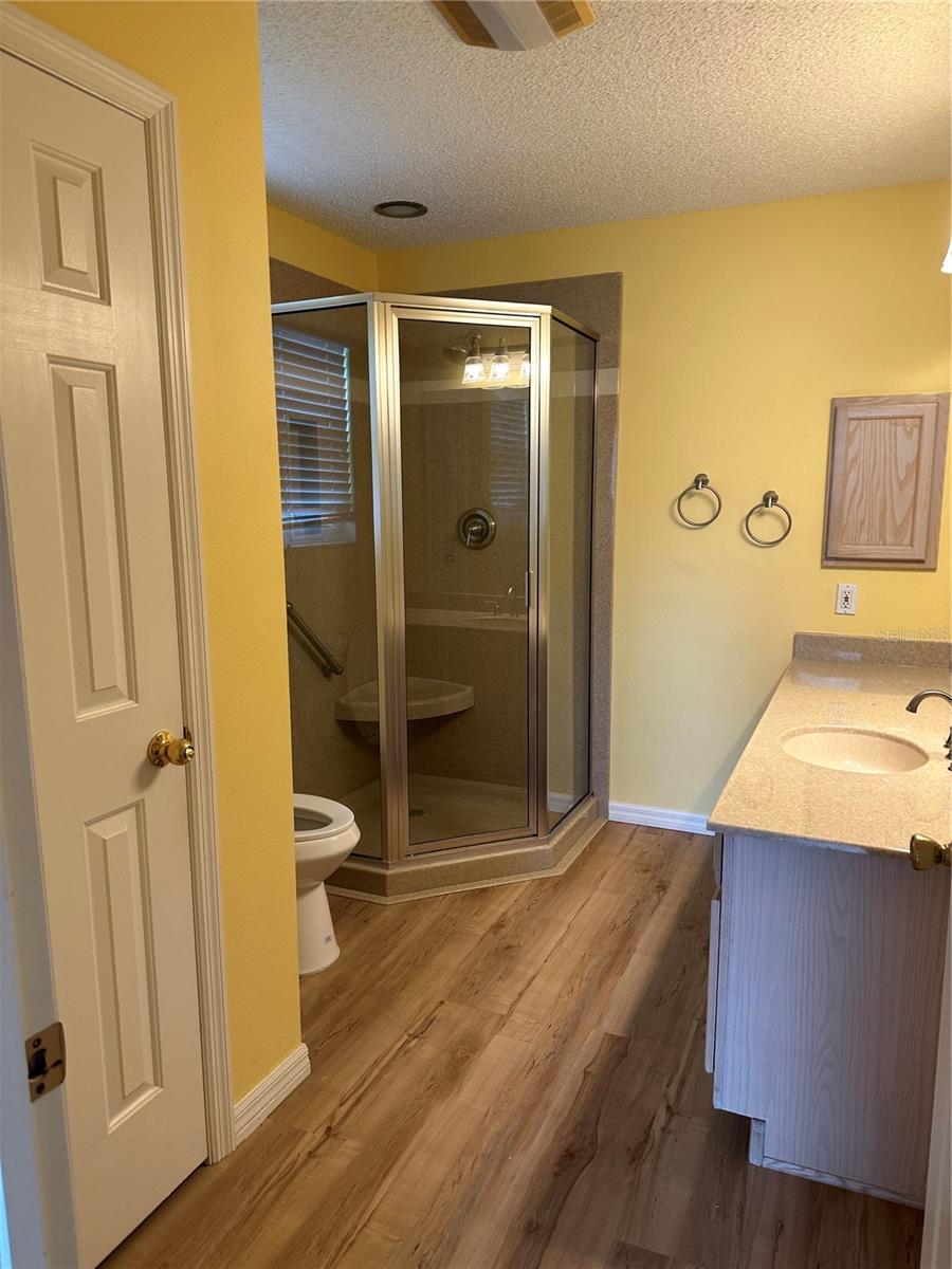 917 CAMINO DEL REY DR, LADY LAKE, FL, 32159