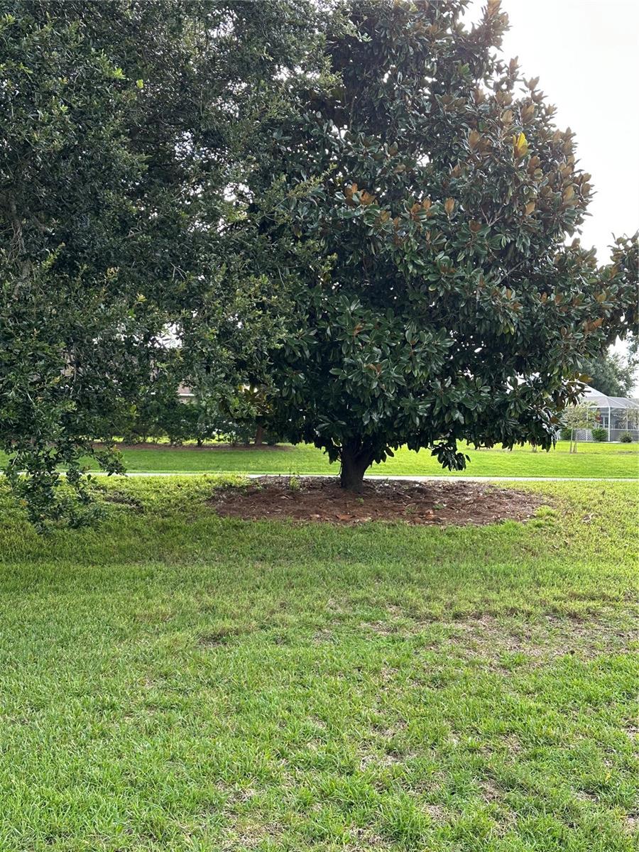 917 CAMINO DEL REY DR, LADY LAKE, FL, 32159