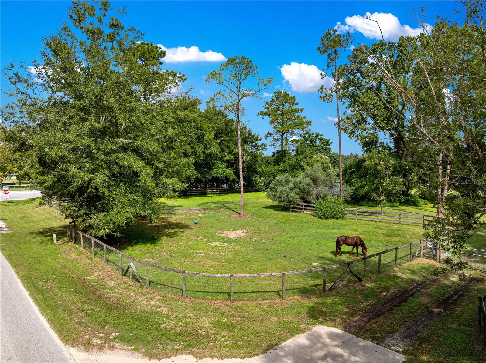 8221 SE 126TH PL, BELLEVIEW, FL, 34420