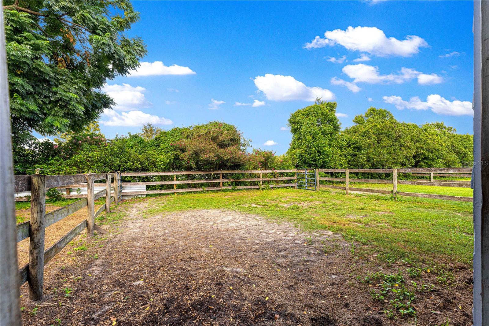 8221 SE 126TH PL, BELLEVIEW, FL, 34420