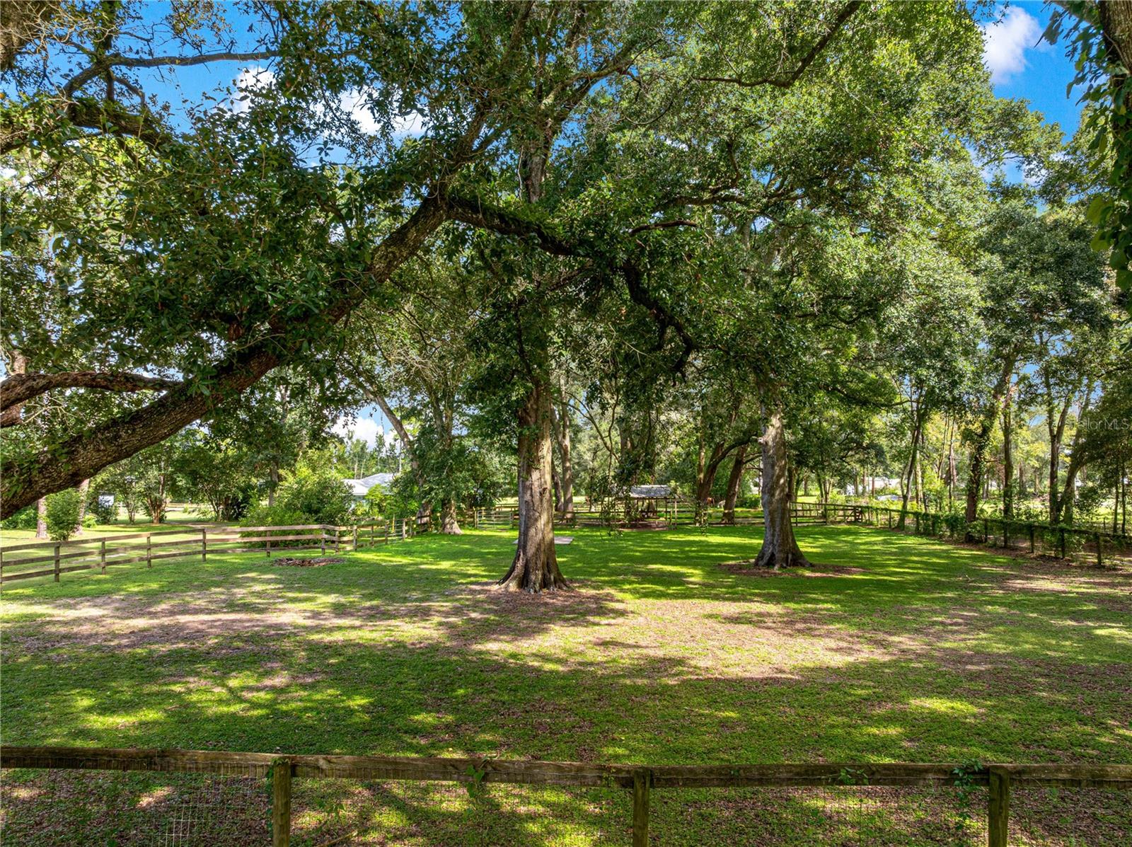 8221 SE 126TH PL, BELLEVIEW, FL, 34420