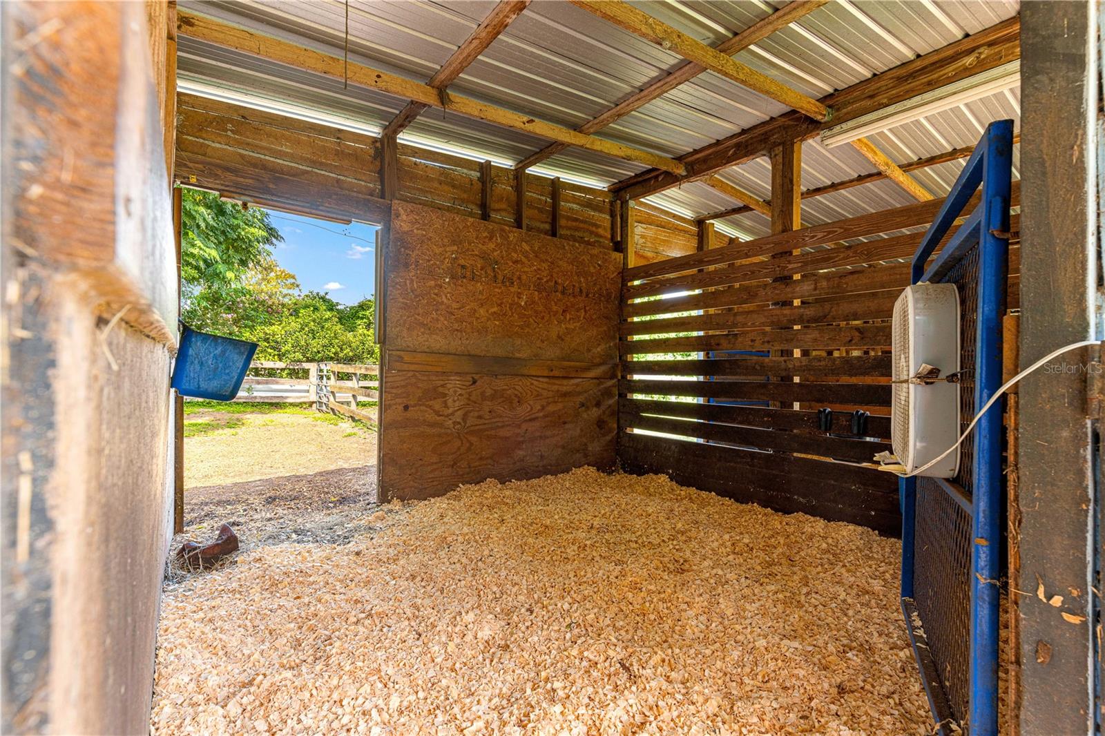 8221 SE 126TH PL, BELLEVIEW, FL, 34420