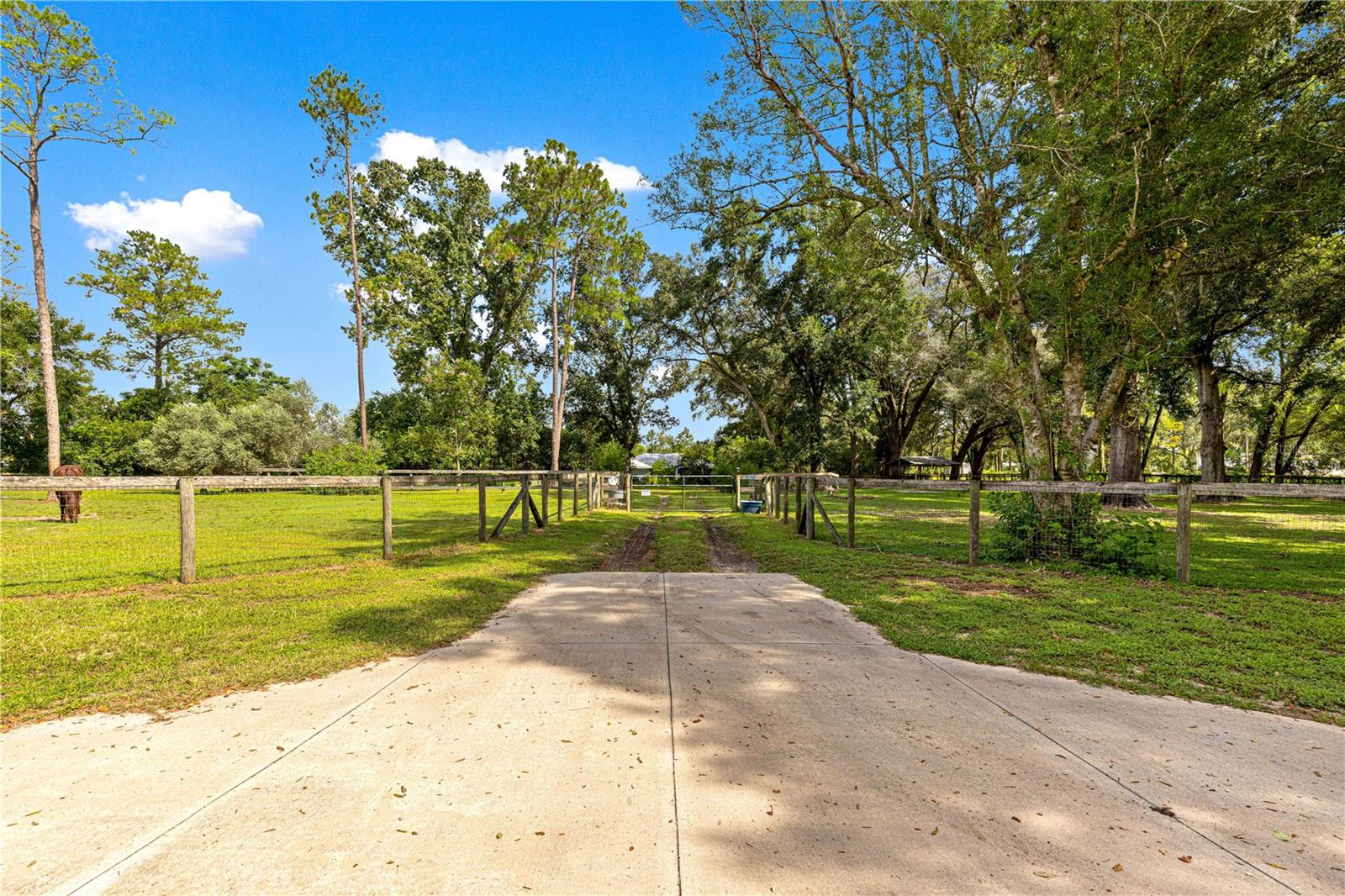 8221 SE 126TH PL, BELLEVIEW, FL, 34420