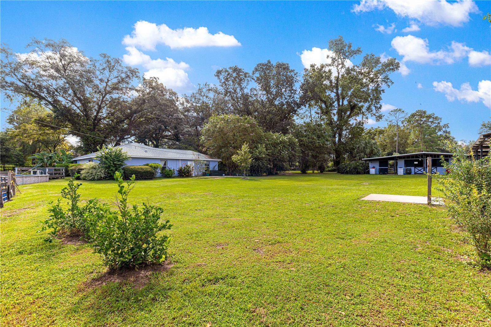 8221 SE 126TH PL, BELLEVIEW, FL, 34420