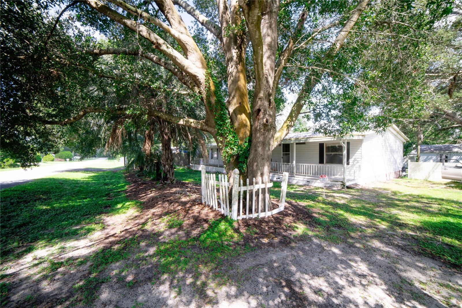 9653 SE 171ST PL, SUMMERFIELD, FL, 34491