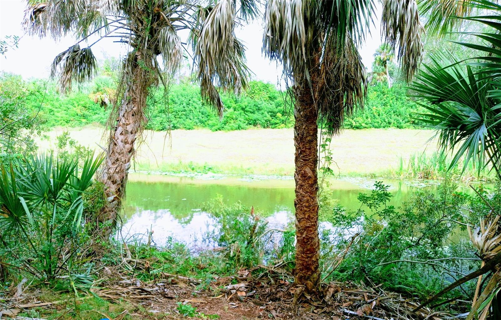 NEWMAN DR, NORTH PORT, FL, 34288