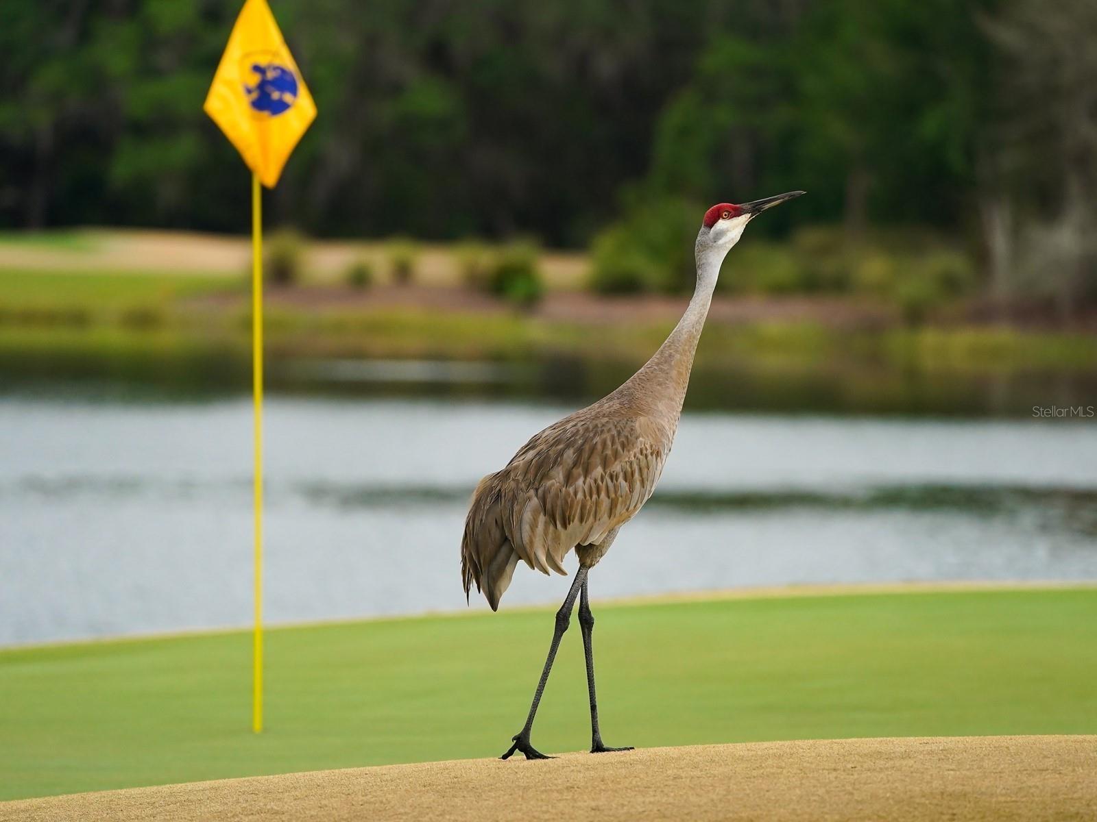 A4664635 Property Photo