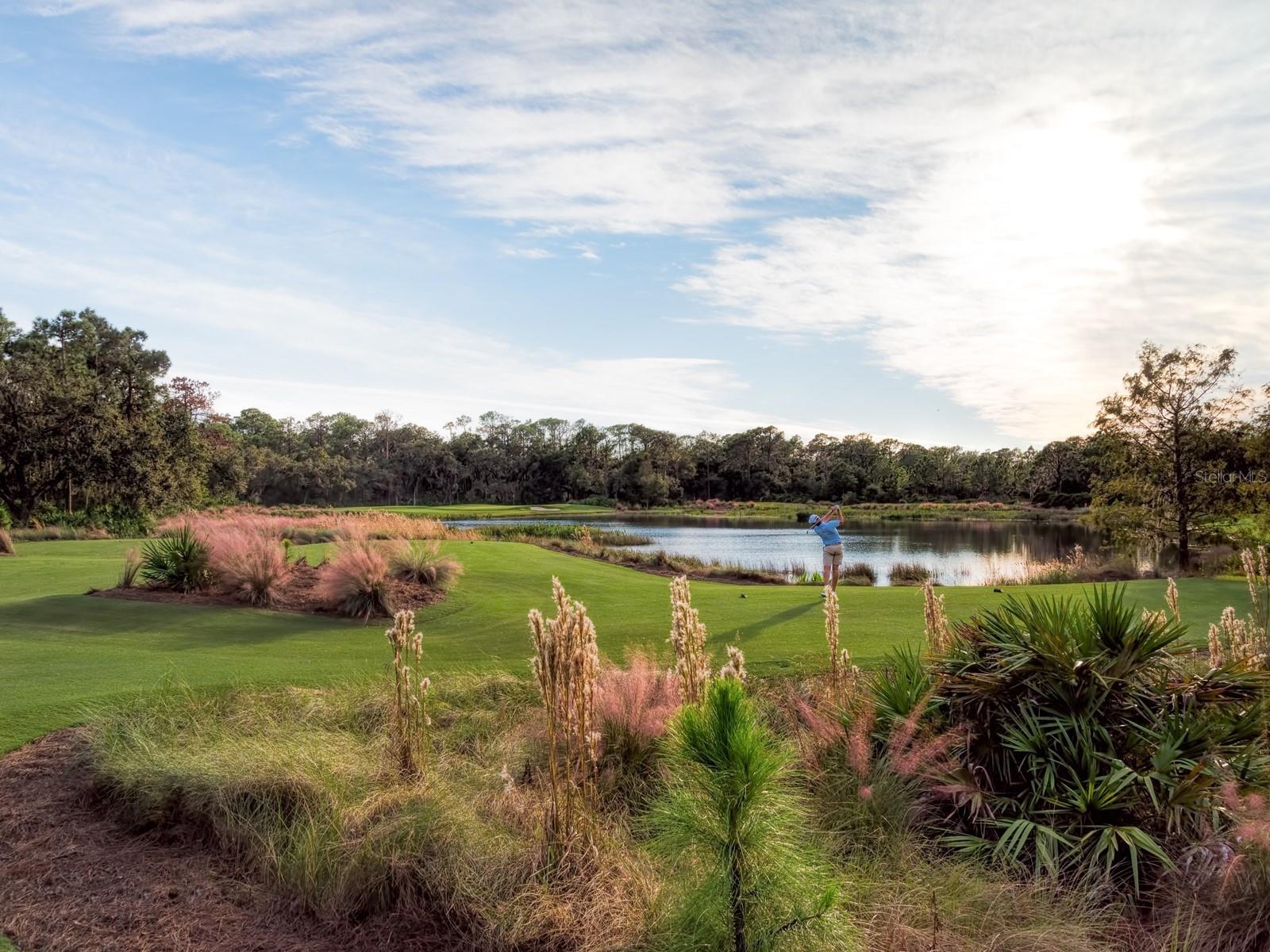 A4664635 Property Photo