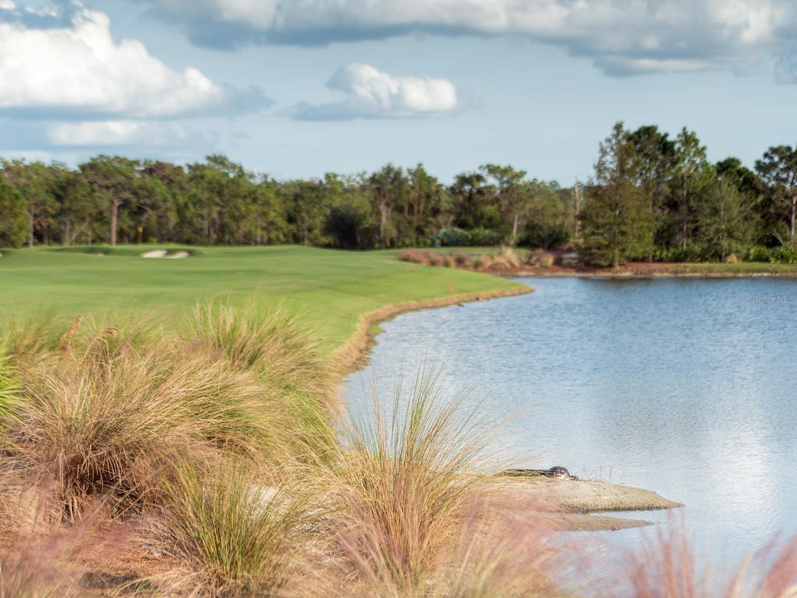 A4664635 Property Photo