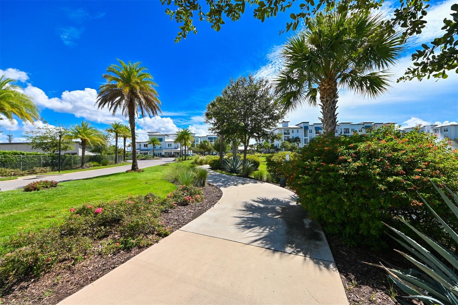 4941 W PRICE AVE #6, TAMPA, FL, 33611