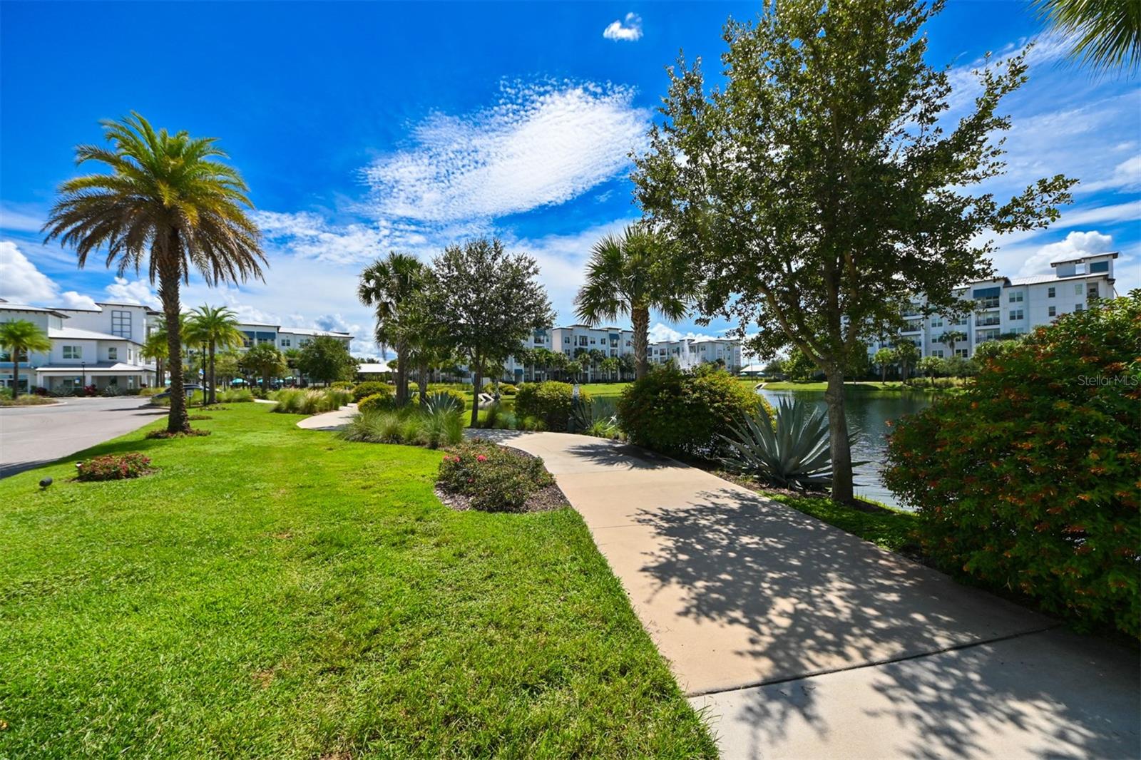 4941 W PRICE AVE #6, TAMPA, FL, 33611