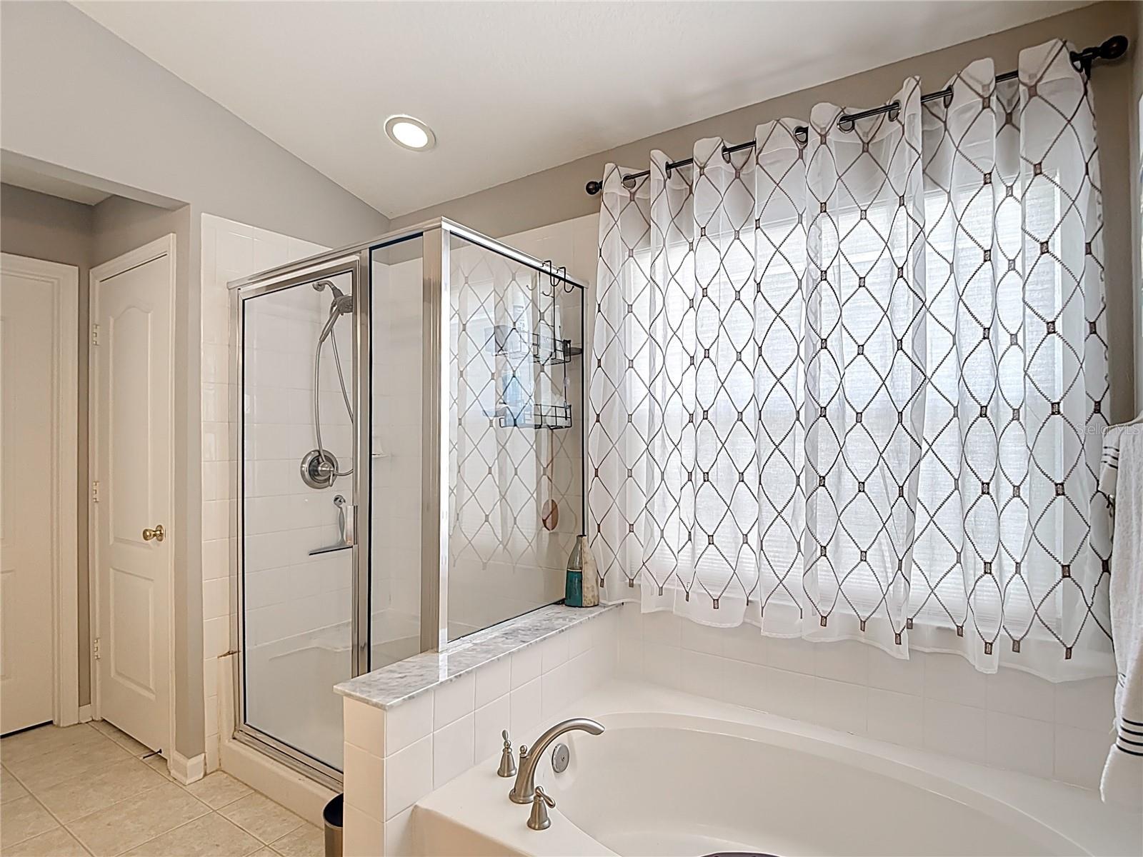 5350 LOOKOUT PASS, WESLEY CHAPEL, FL, 33544