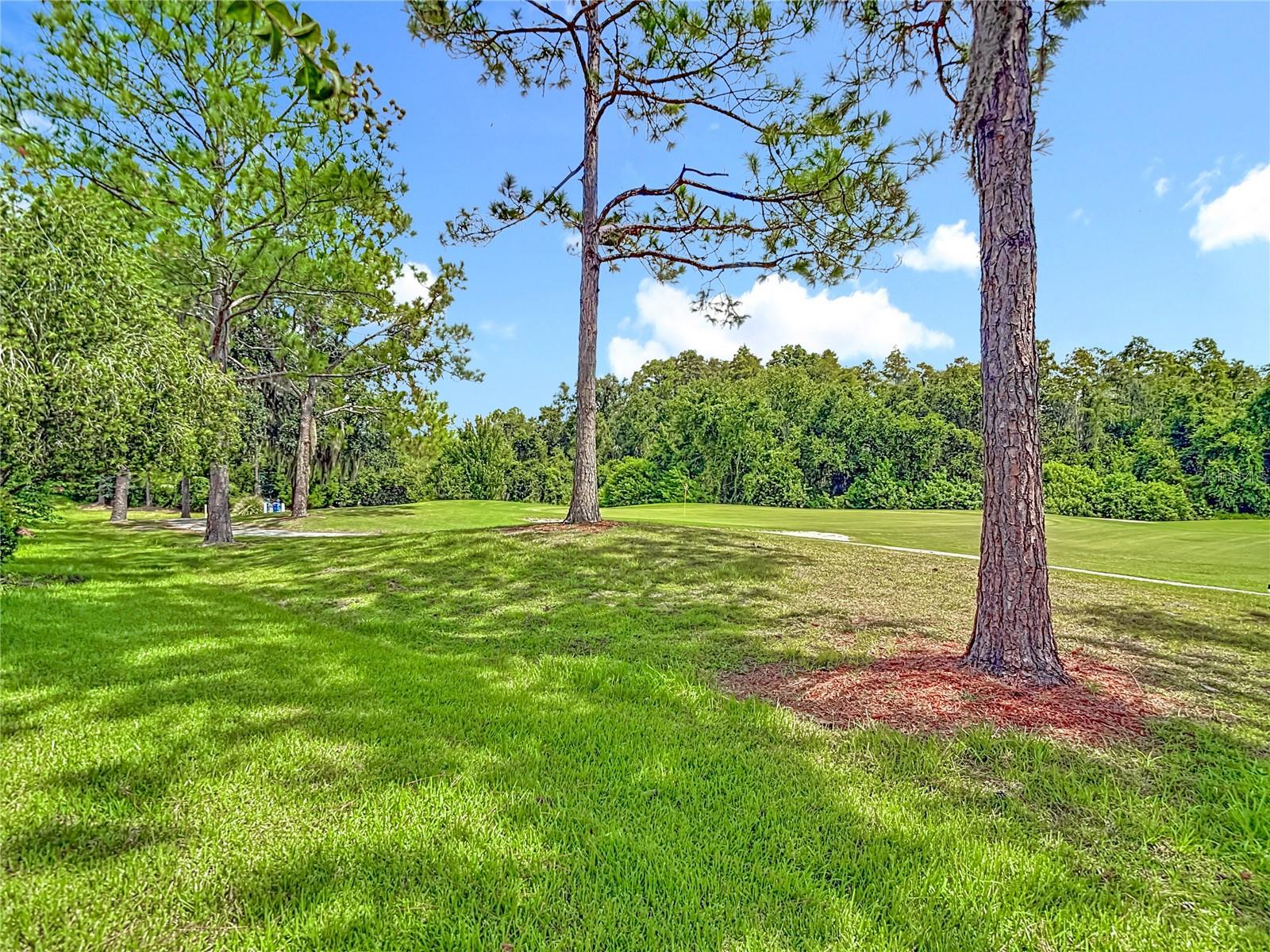 5350 LOOKOUT PASS, WESLEY CHAPEL, FL, 33544