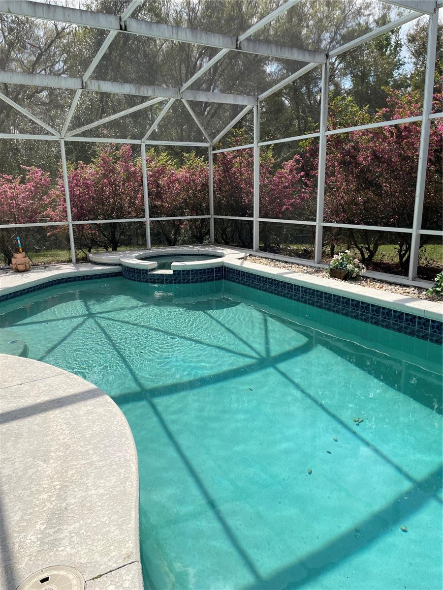 30733 E BUTTERCUP LN, MOUNT DORA, FL, 32757