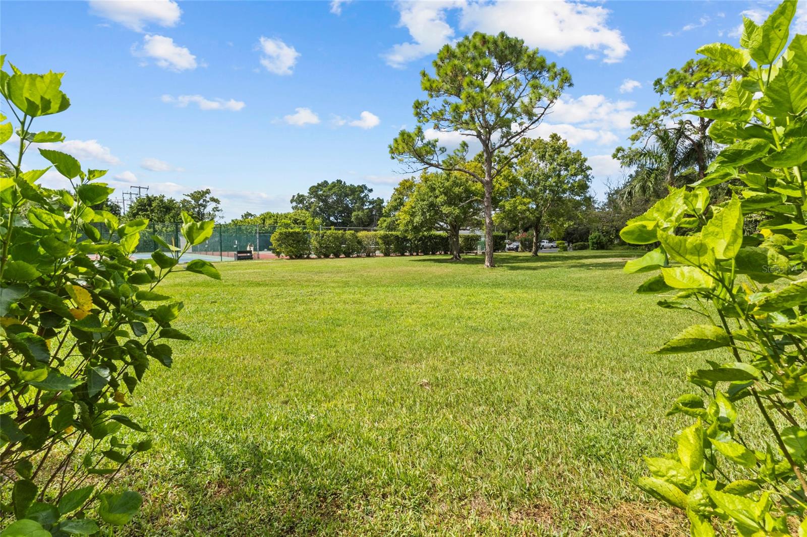 411 PALM TREE DR #411, BRADENTON, FL, 34210