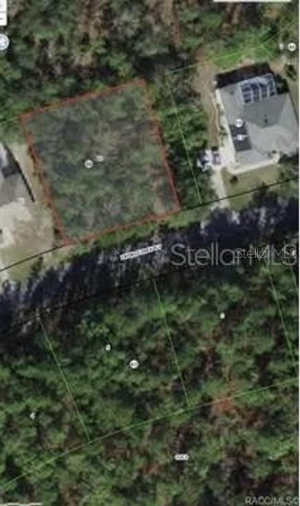 38 FRINGETREE ST, HOMOSASSA, FL, 34446