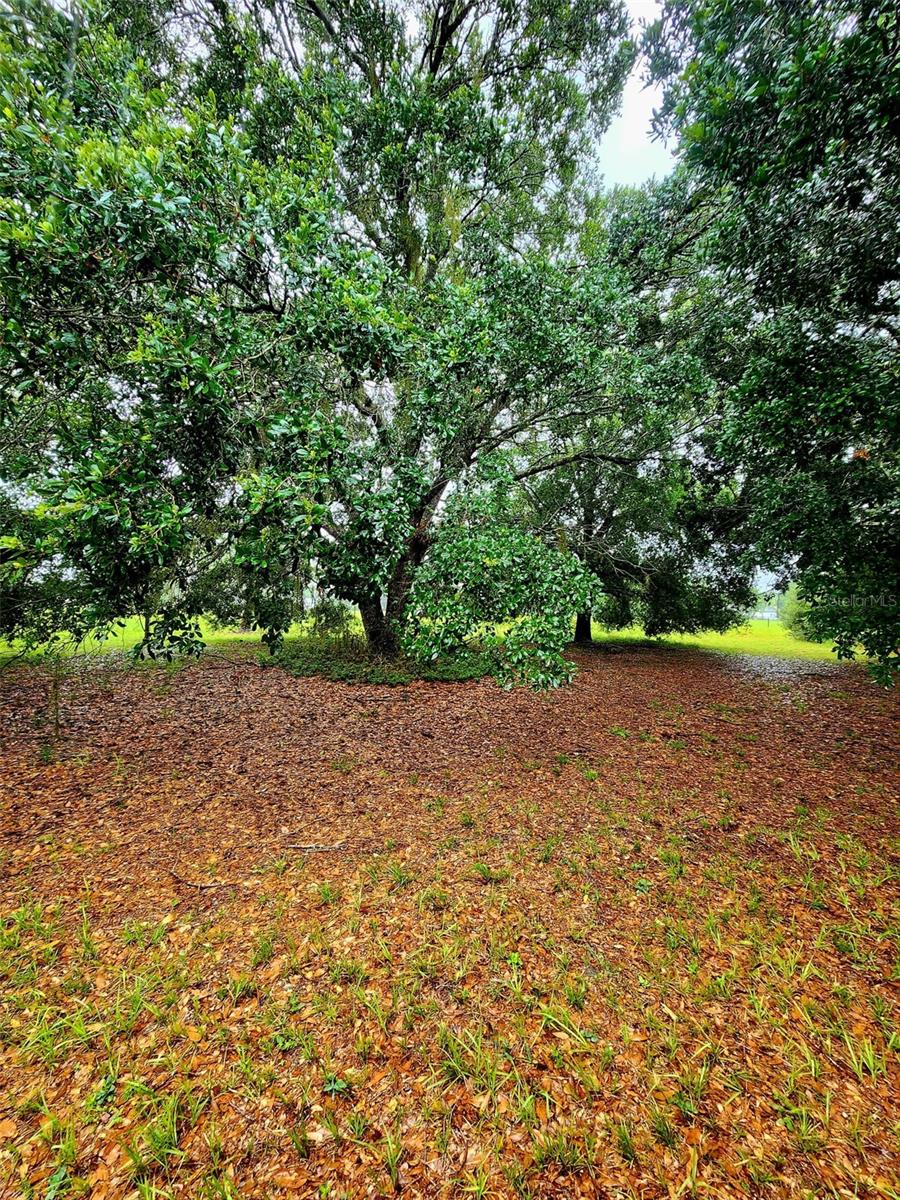 5237 MOORE ST, ST CLOUD, FL, 34771