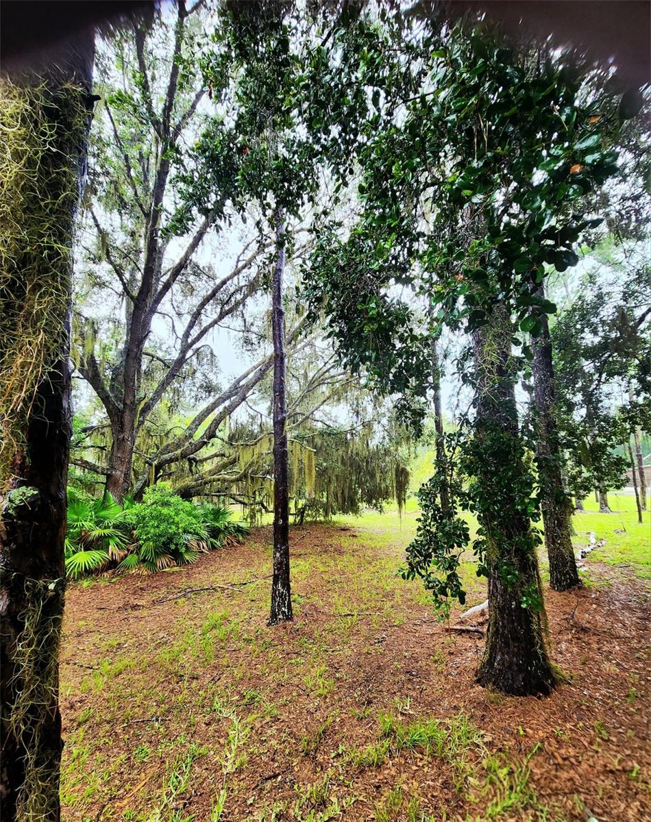 5237 MOORE ST, ST CLOUD, FL, 34771