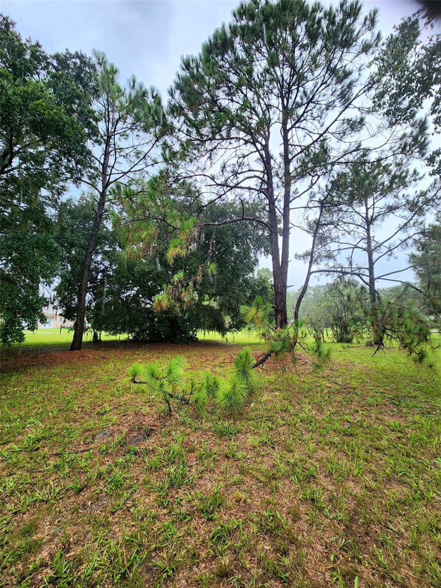 5237 MOORE ST, ST CLOUD, FL, 34771