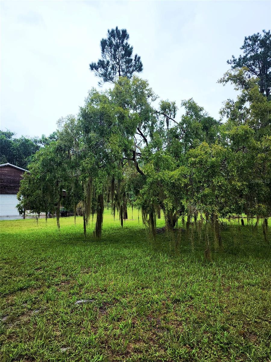 5237 MOORE ST, ST CLOUD, FL, 34771