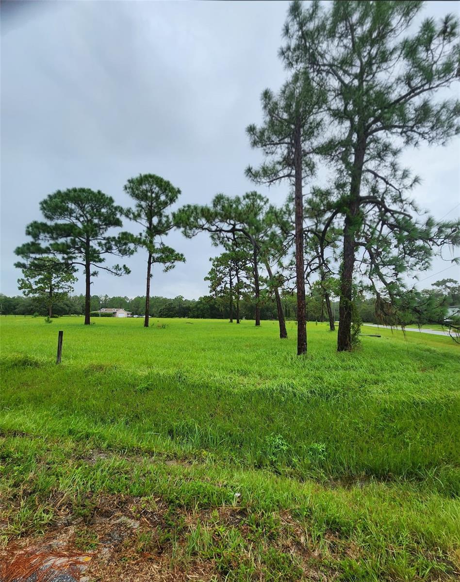 5237 MOORE ST, ST CLOUD, FL, 34771