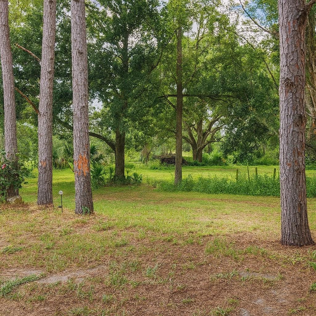 32919 COUNTY ROAD 437, SORRENTO, FL, 32776