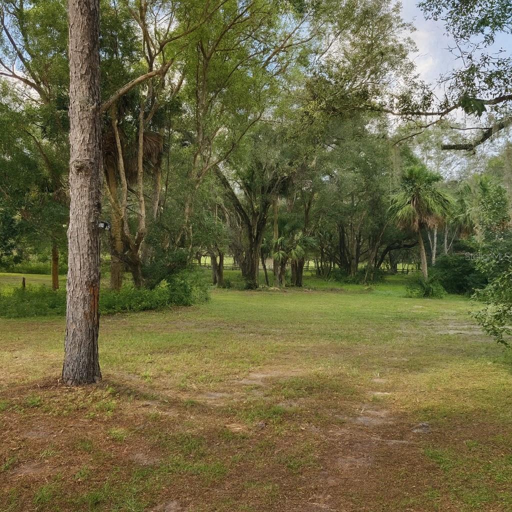 32919 COUNTY ROAD 437, SORRENTO, FL, 32776