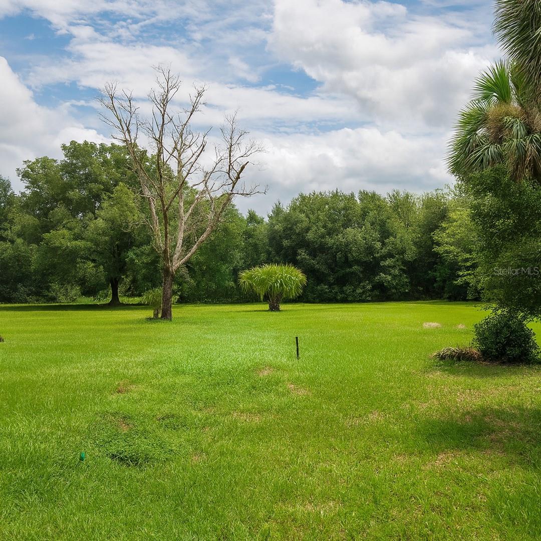 32919 COUNTY ROAD 437, SORRENTO, FL, 32776