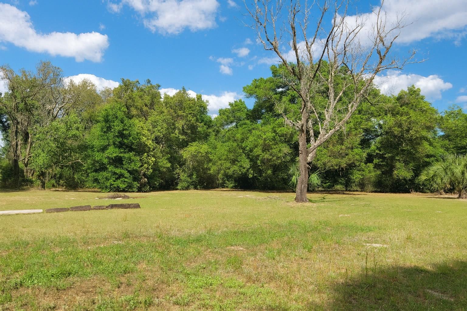 32919 COUNTY ROAD 437, SORRENTO, FL, 32776