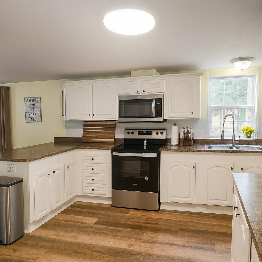 32919 COUNTY ROAD 437, SORRENTO, FL, 32776