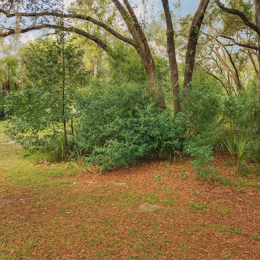 32919 COUNTY ROAD 437, SORRENTO, FL, 32776