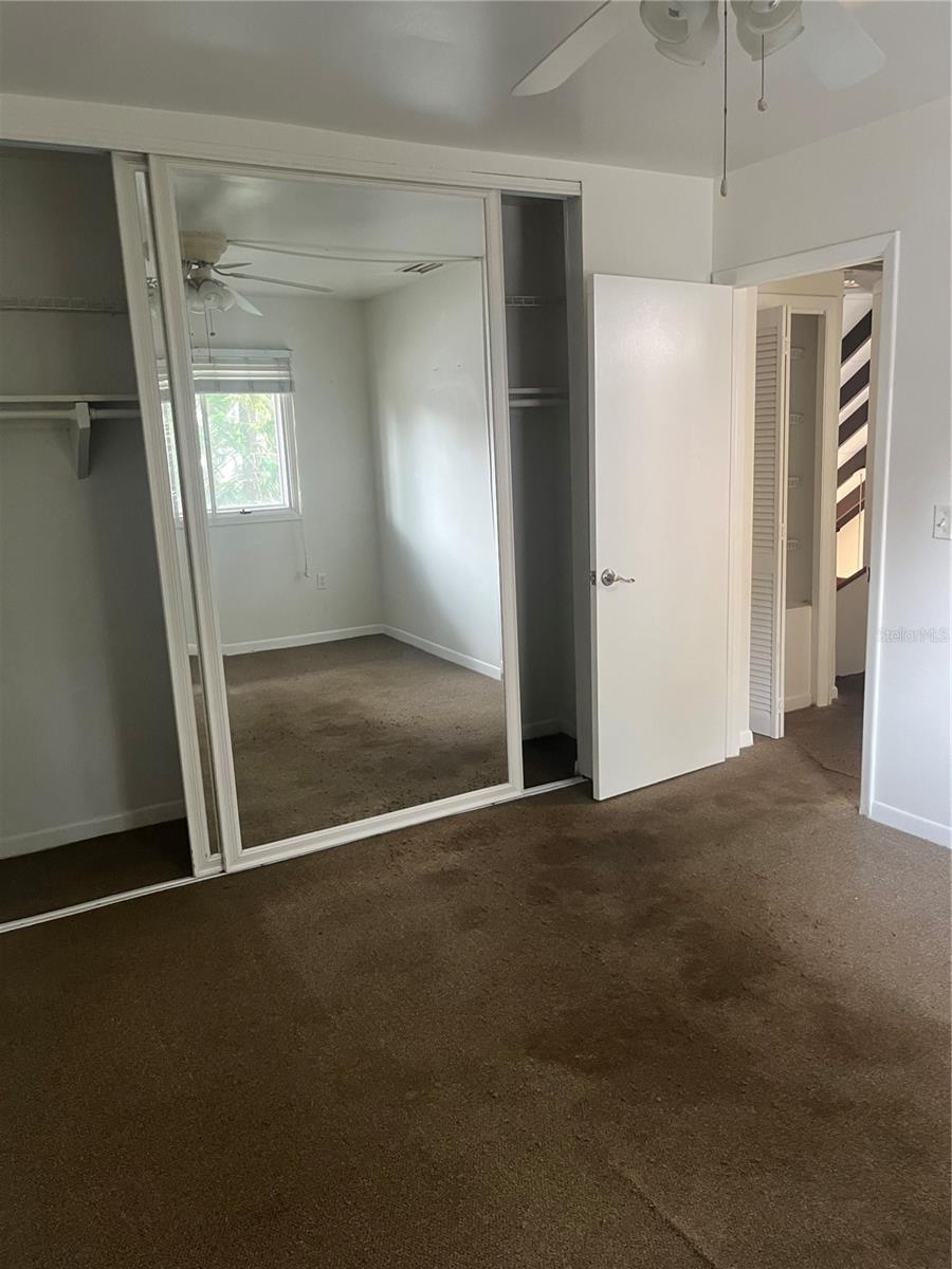 5641 ASHLEY OAKS DR #39, TAMPA, FL, 33617