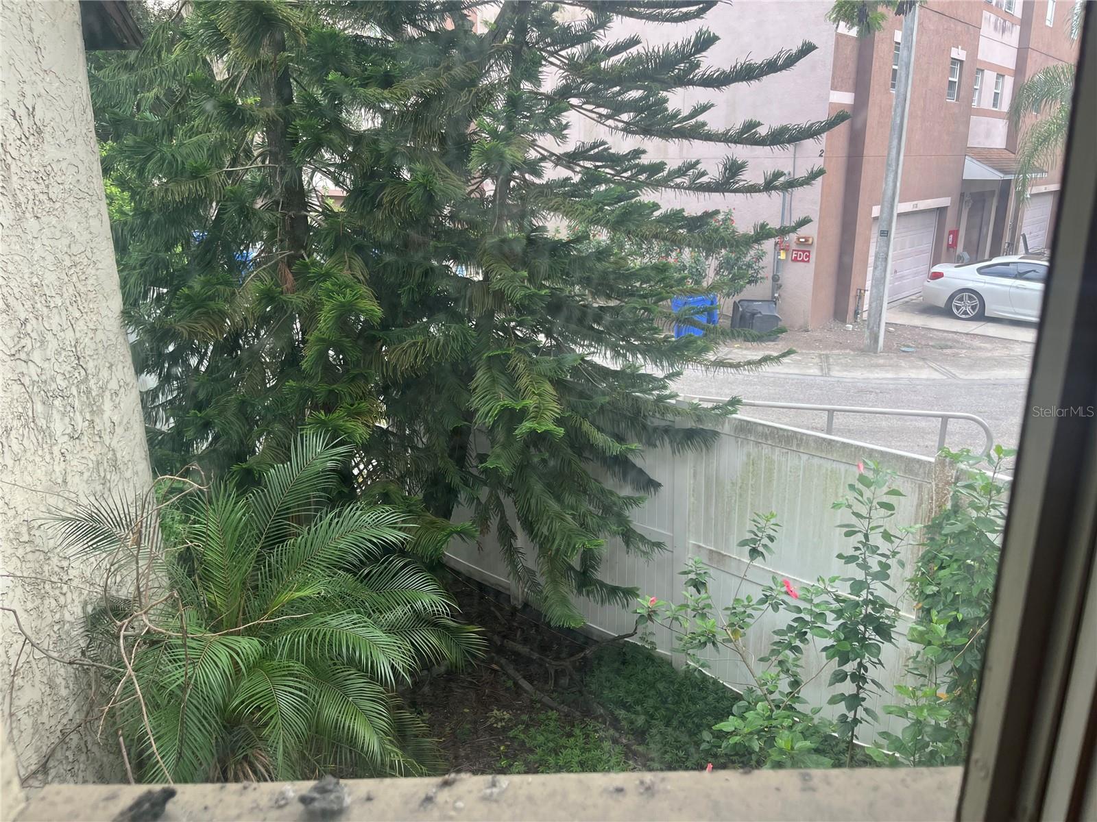 5641 ASHLEY OAKS DR #39, TAMPA, FL, 33617