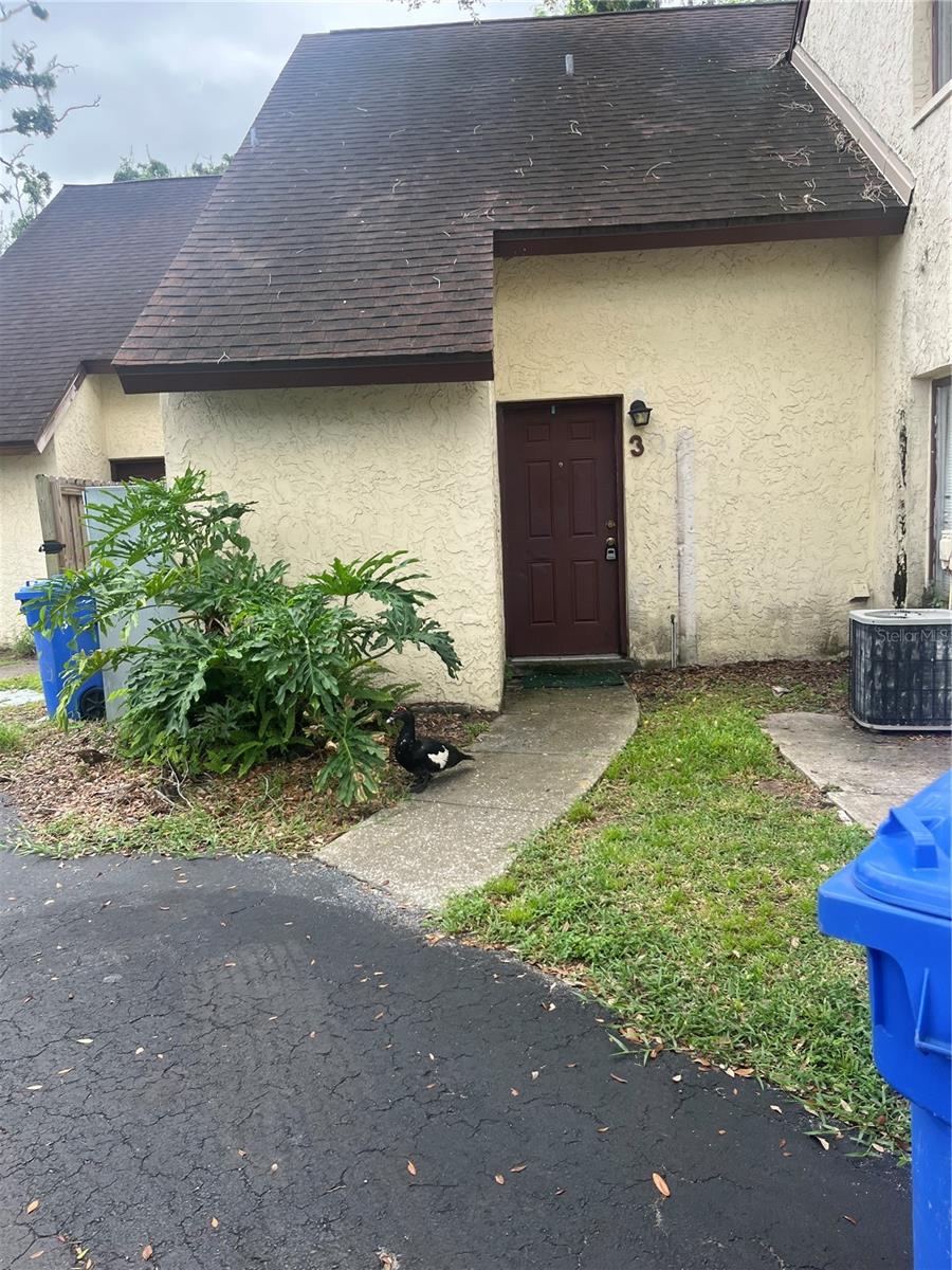 5641 ASHLEY OAKS DR #39, TAMPA, FL, 33617