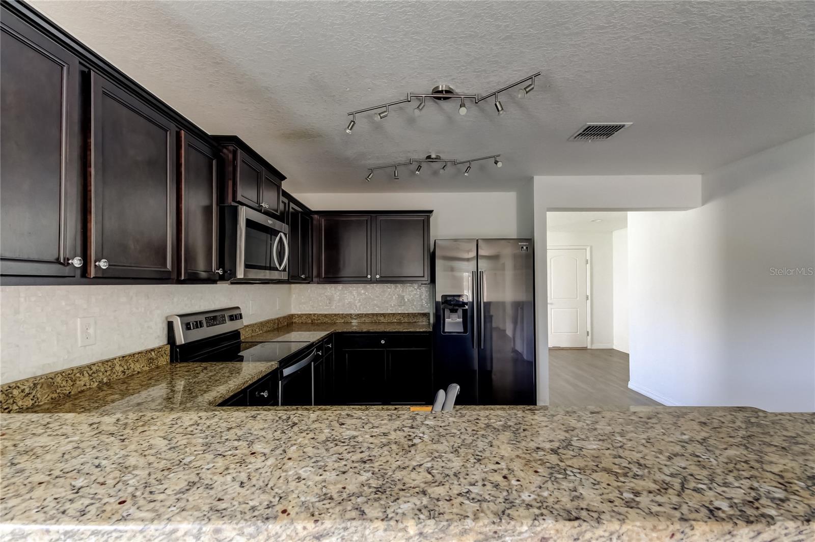 1739 CHATHAM GREEN CIR, RUSKIN, FL, 33570