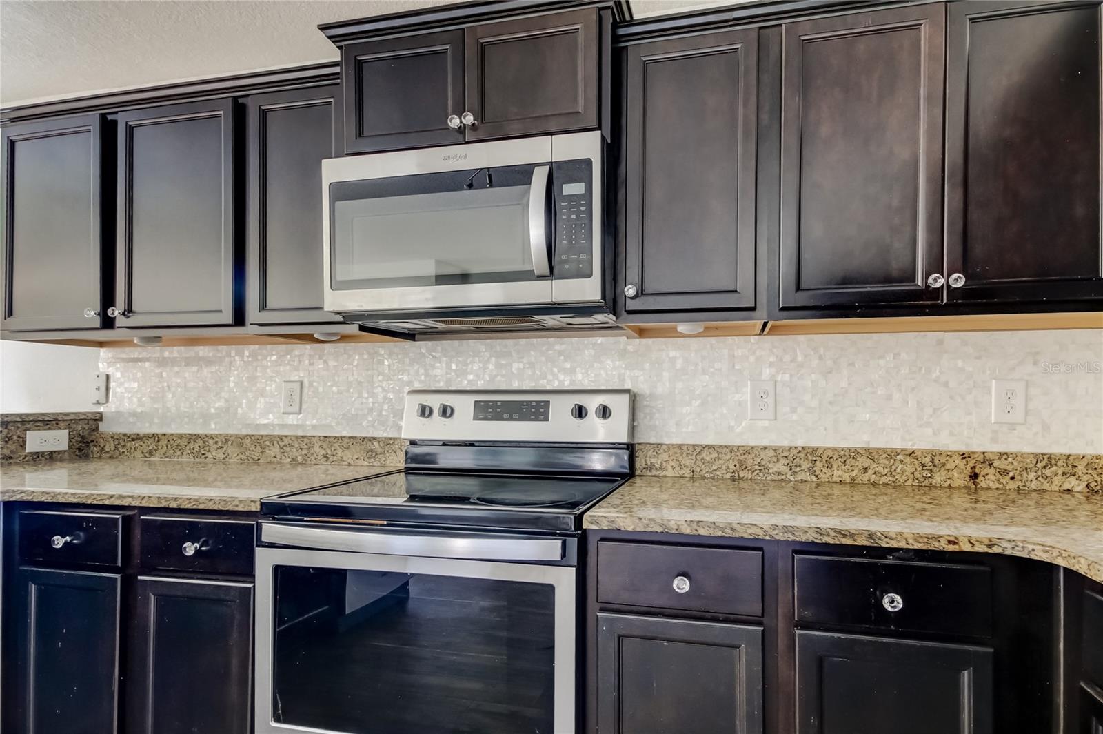 1739 CHATHAM GREEN CIR, RUSKIN, FL, 33570