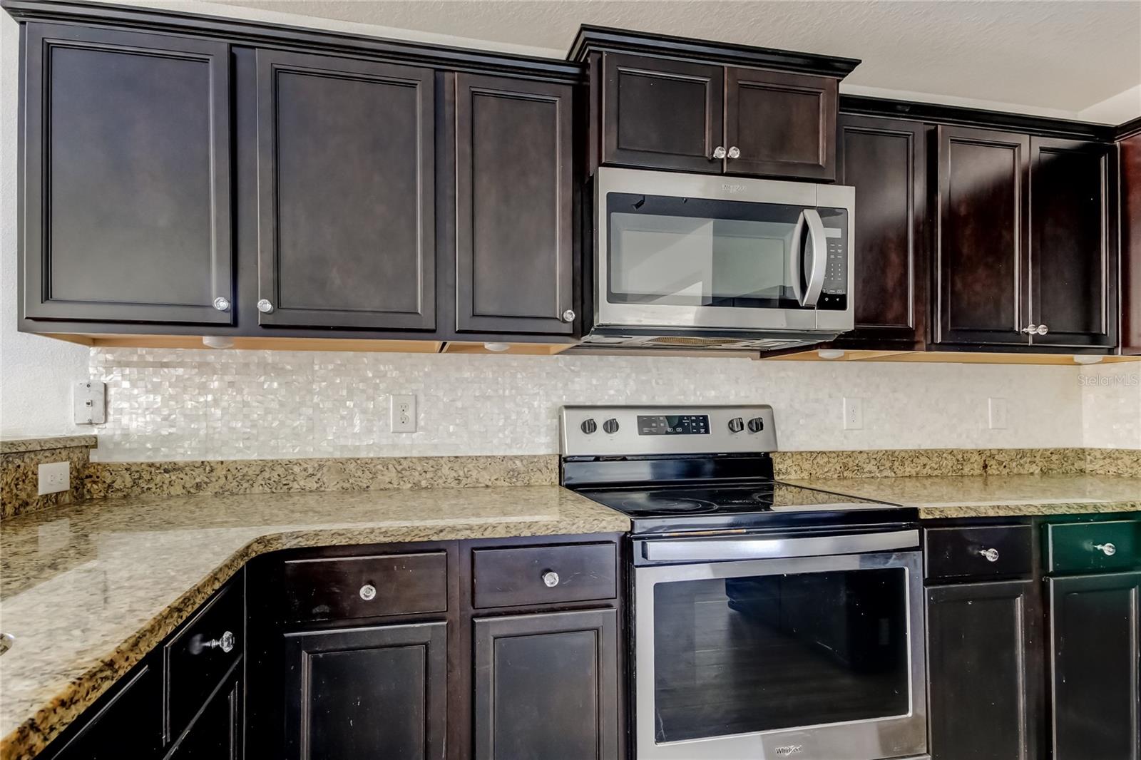 1739 CHATHAM GREEN CIR, RUSKIN, FL, 33570