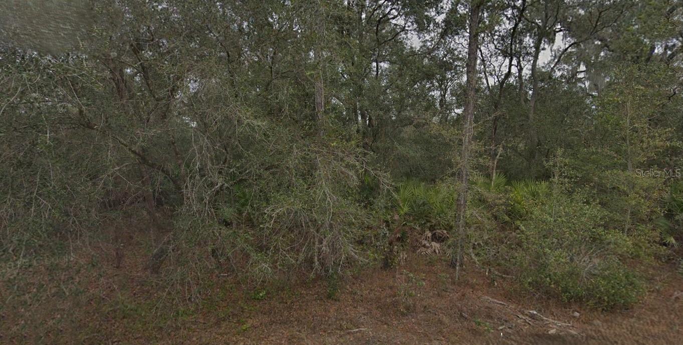 130 & 132 BREAM DR, INTERLACHEN, FL, 32148