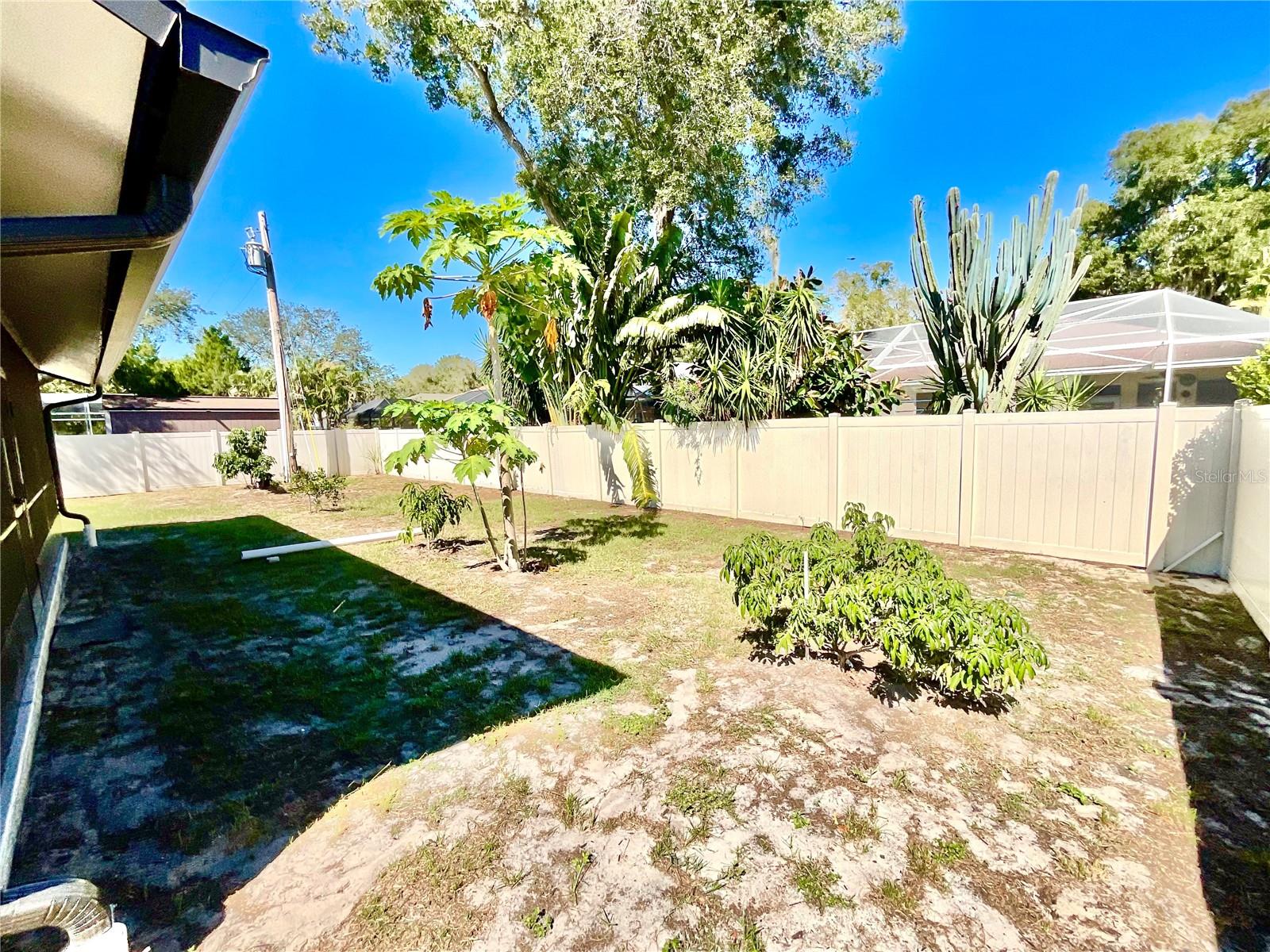 1545 INDIANA AVE, PALM HARBOR, FL, 34683